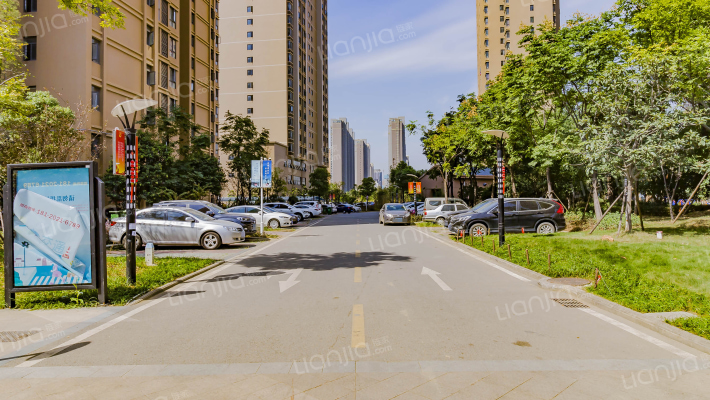 鲤鱼洲家园外景图