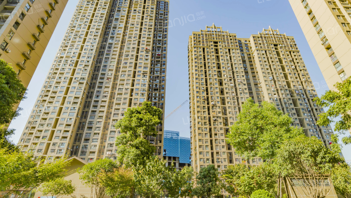 国际百纳外景图