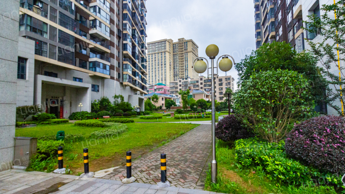 中央国际广场外景图