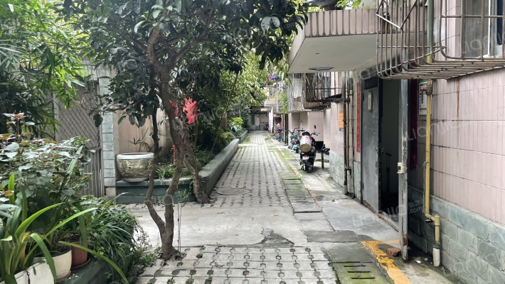 通锦桥路176号外景图