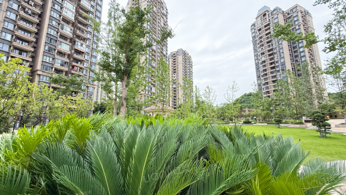 恒大新城四期外景图