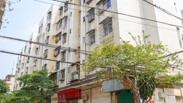 民乐巷16号外景图