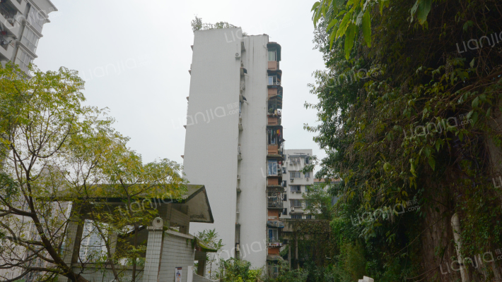 新华小区(南岸)外景图
