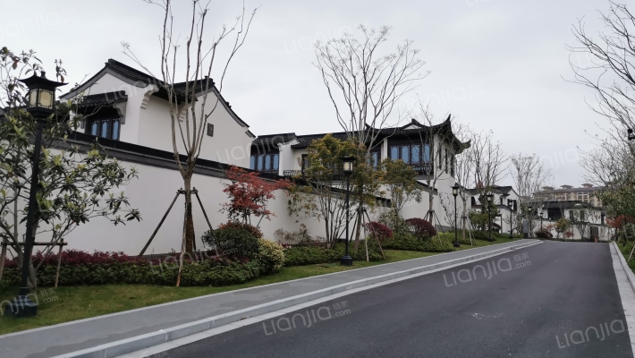 十里风荷外景图