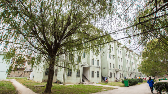 台玻家园外景图