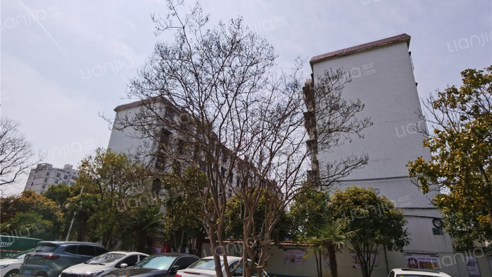 市大桥管理处家属院外景图