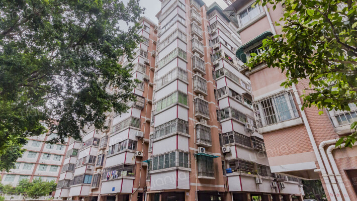 百合路38-64号宿舍（双号）外景图