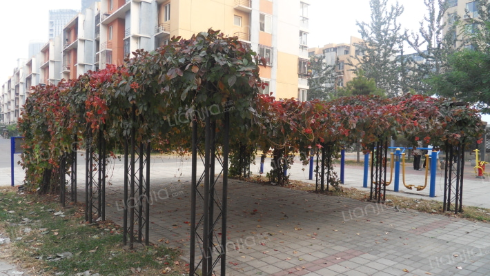 龙博苑三区外景图