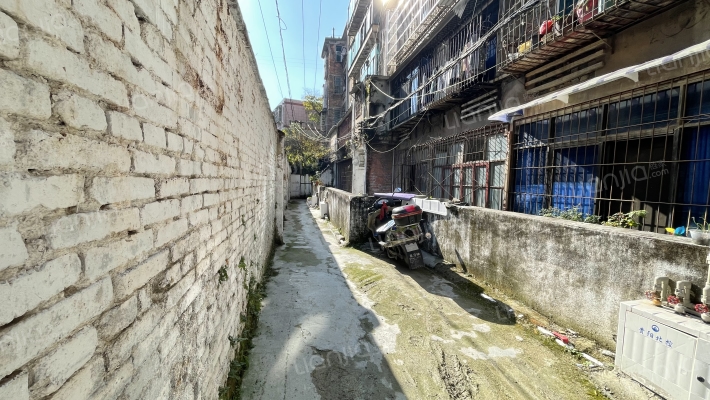 朝阳巷42号外景图