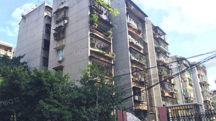 广州手表厂宿舍外景图