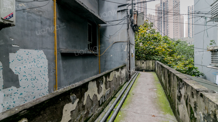 渝州路127号附2号外景图