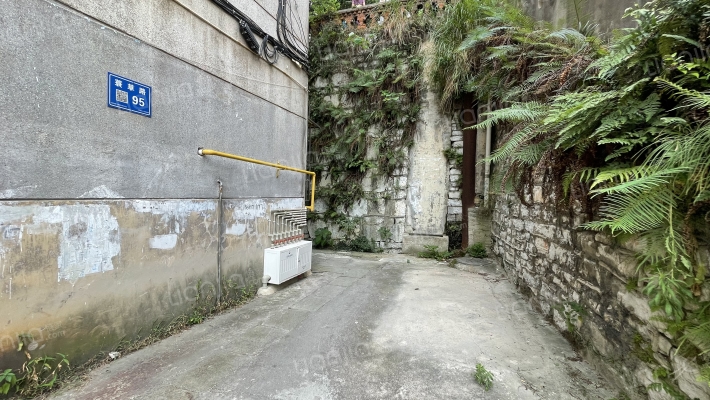 蓑草路95号外景图