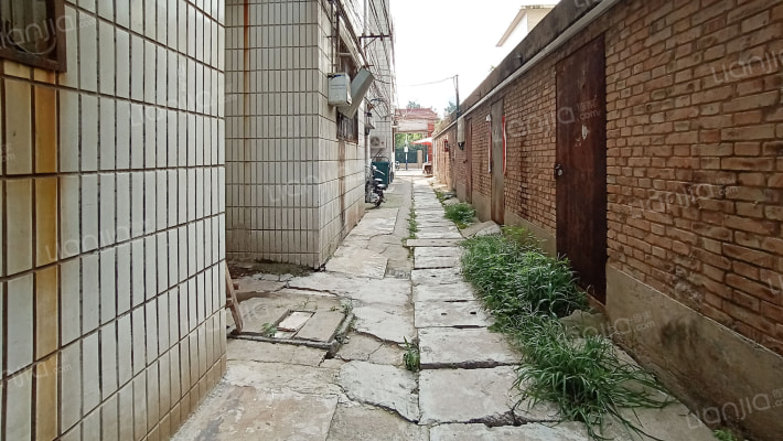 县社家属院外景图