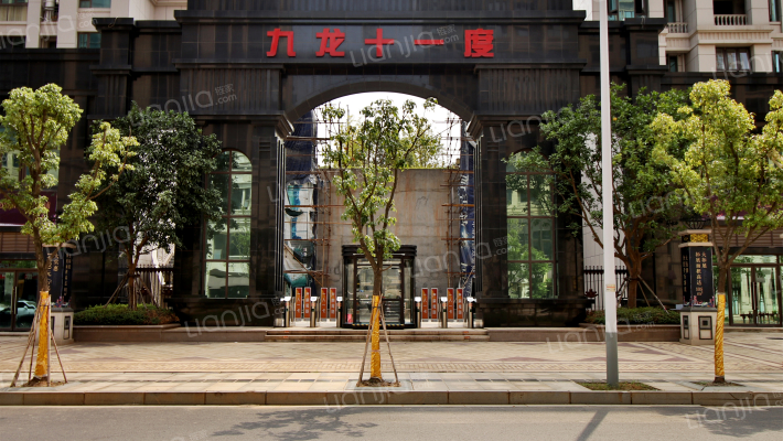 九龙十一度外景图