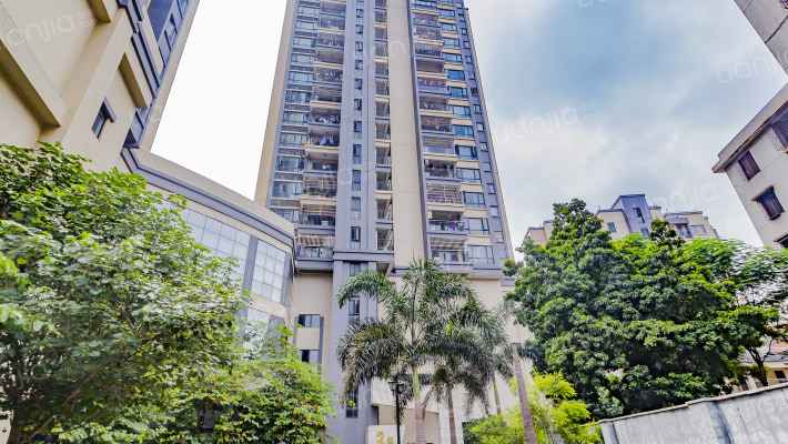 钜隆风度盛荟广场外景图