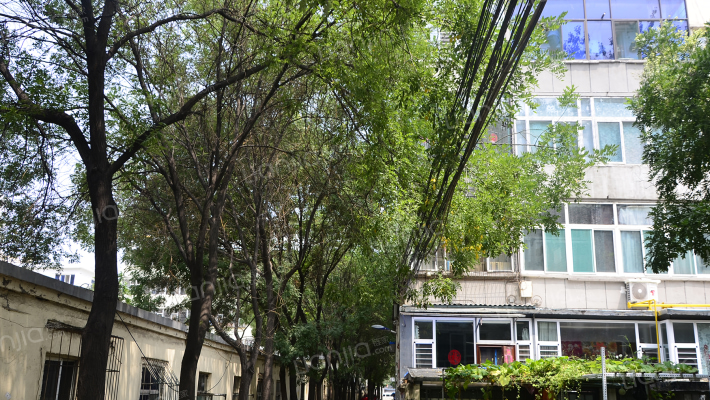 太化水厂小区外景图