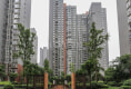 中铁丽景书香0