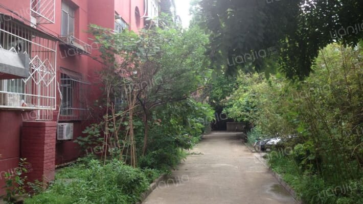 中关村发育所外景图