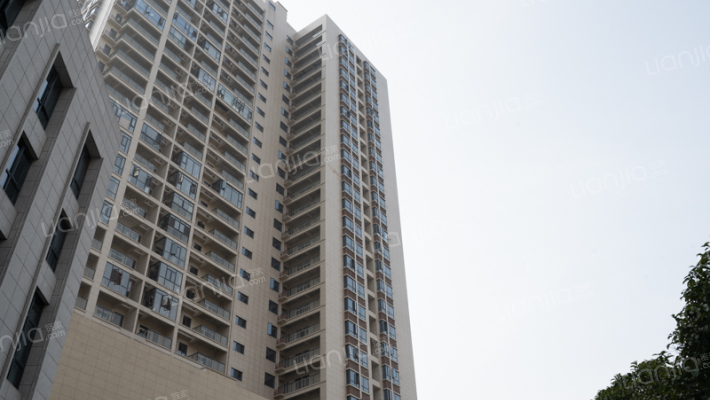 青年才郡外景图