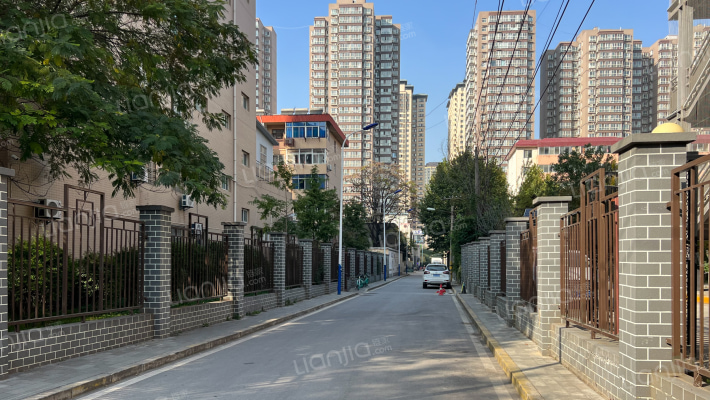 开利星座外景图