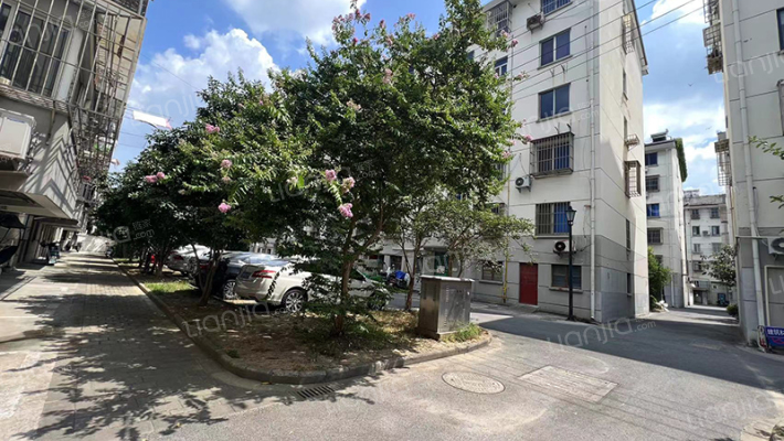 菜园村街外景图