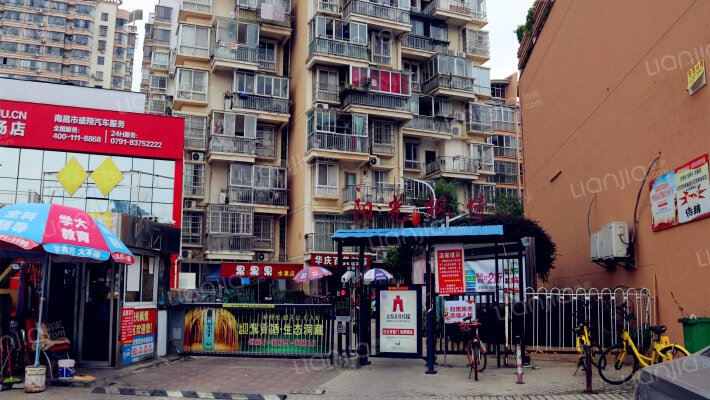 阳光枫情外景图