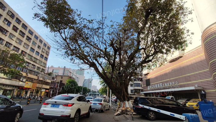 海南省市场监督管理局宿舍外景图