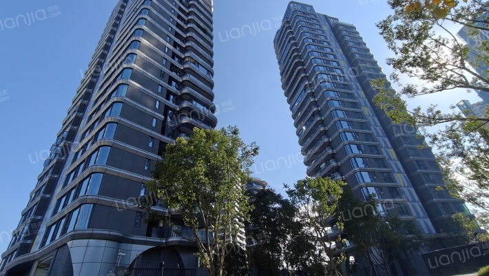 万科星耀天府外景图