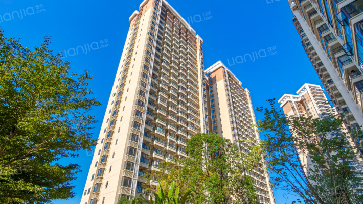 兴宁·大唐果外景图