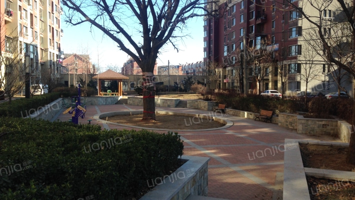 新水泥路小区外景图