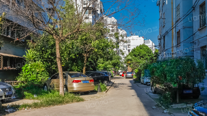 西苑民安园外景图