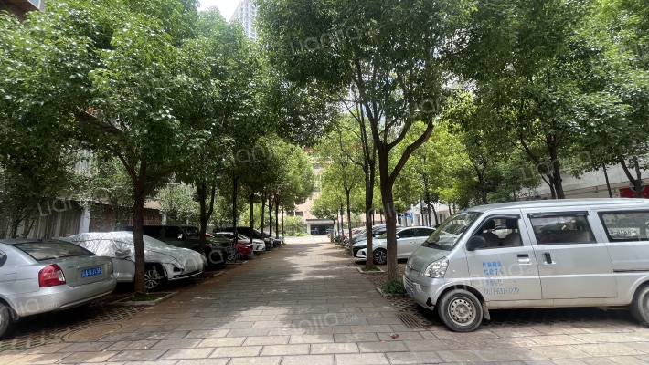 吴井路太乙桥29号外景图