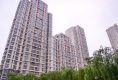 鲁能领秀城C区5