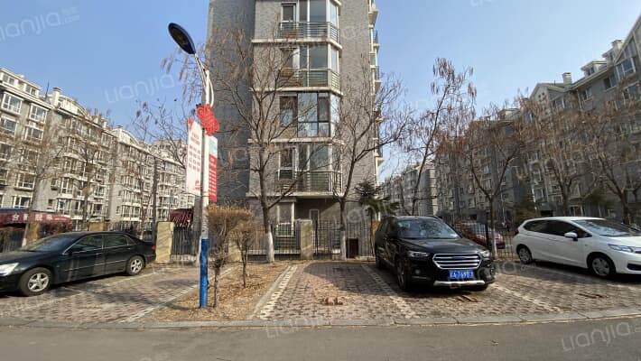 天恒森林里外景图