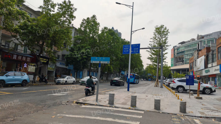 向阳路外景图