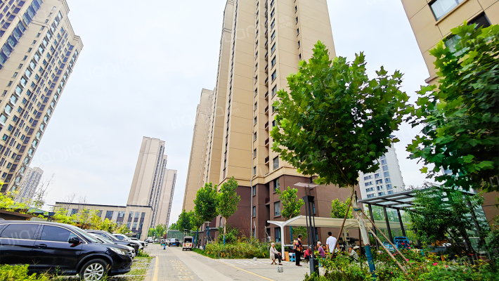 徐家楼新华片区三期棚改项目（地块二）外景图