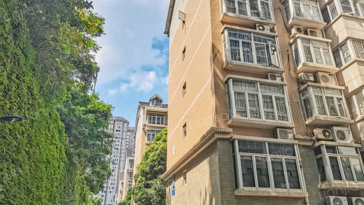 交警宿舍外景图