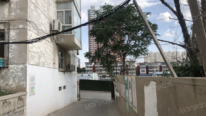 禽蛋宿舍外景图