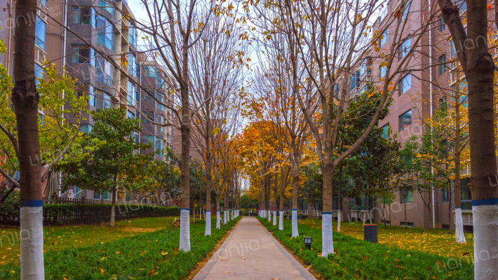 西钞沁园外景图