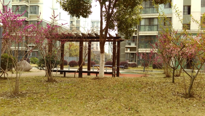 无锡新安花苑三区房价怎么样新安花苑三区房源户型图小区车位交通地址