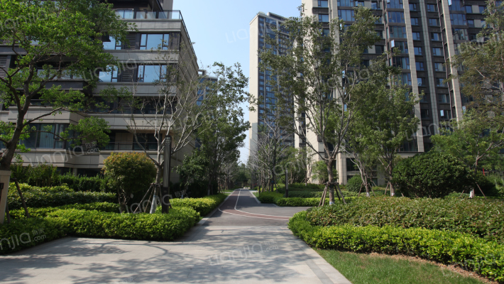 碧桂园天琴湾外景图