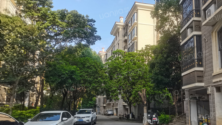 林业新村三区外景图