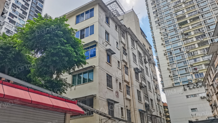 广西壮族自治区地震局职工楼外景图