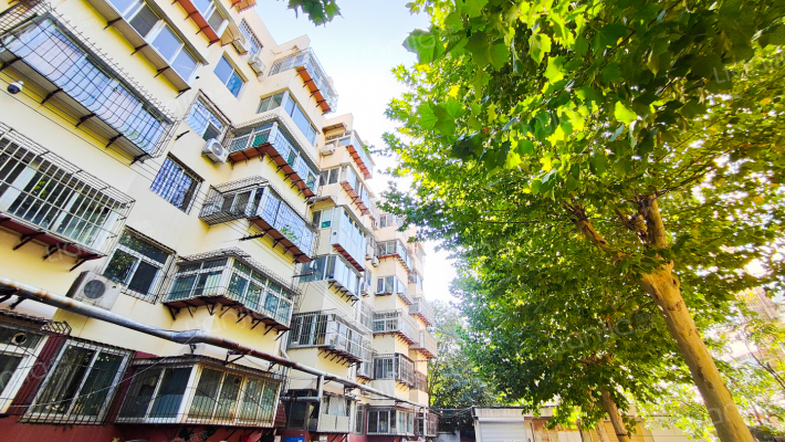 洪家楼南路17-1号外景图