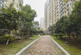 统建同安家园26