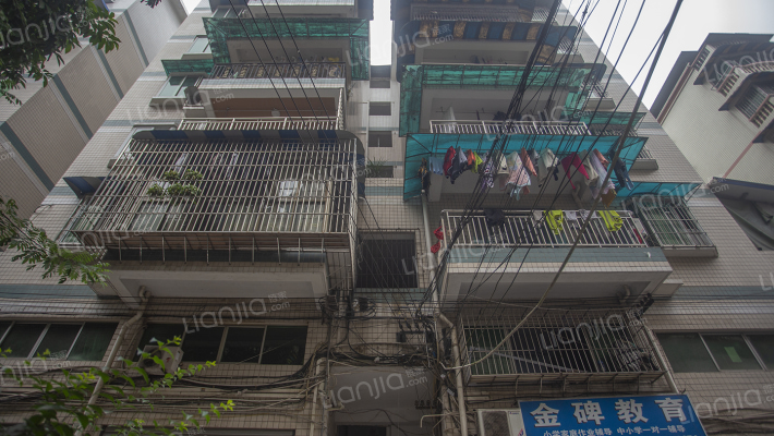 城市港湾A区外景图