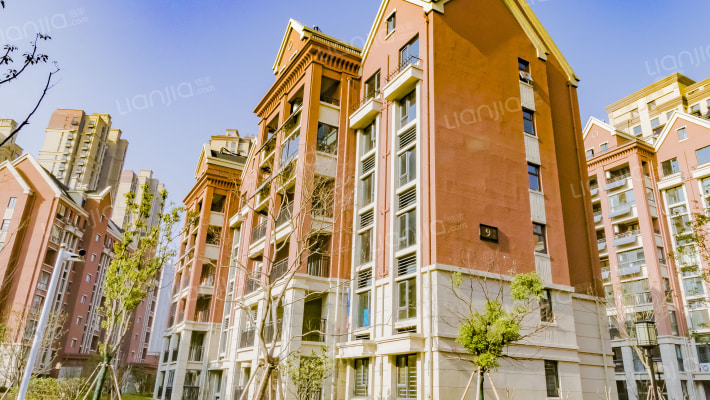 城建琥珀庄园外景图