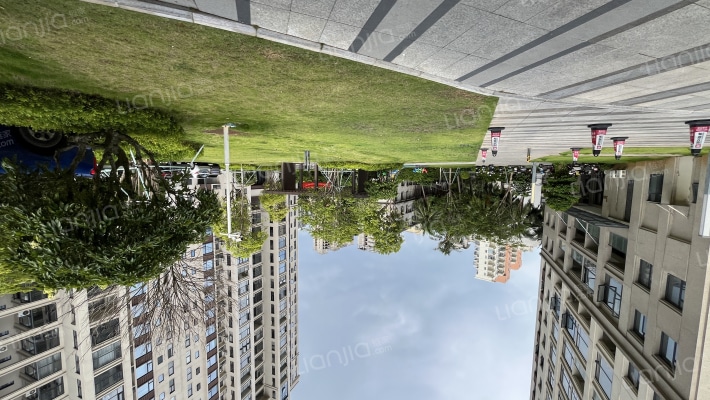 朗枫国际外景图