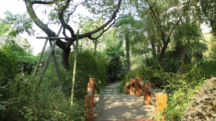 云锦美地合锦苑外景图