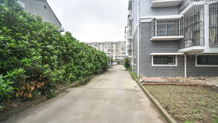 东郊新村虹怡苑外景图